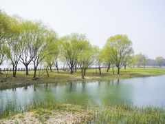 -苏州太湖湖滨国家湿地公园