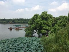 -湖畔居茶楼(湖滨店)
