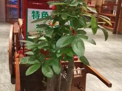 -金筷子西北菜·捞悦火锅