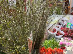 -循礼门鲜花花市(武汉循礼门店)