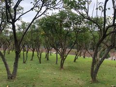 -福建鲤鱼洲酒店