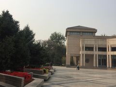 -北京大学百年讲堂