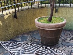 -三鹰之森吉卜力美术馆