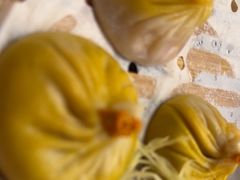 -苏小柳点心·手作小笼包(浦东嘉里城分院)