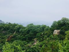 -漳州云洞岩风景区-瑞竹岩