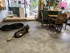 -more than meow吴止猫主题餐厅(承德 中船汇店)