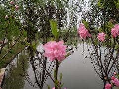 -南京市江宁方山