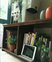 -Union瑜伽健康管理中心