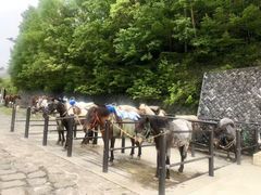 -富士山吉田線五合目