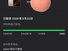 -Apple零售店(青岛万象城店)