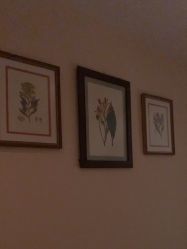 -尊尚柏丽美容SPA