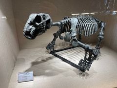 -辽宁古生物博物馆