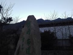 -阳台山自然风景区