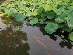 -金谷里艺术馆