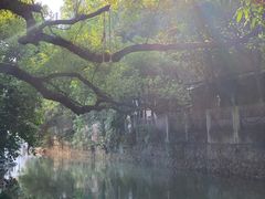 -小洲村