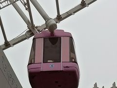 -弘阳·未来世界(弘阳广场店)
