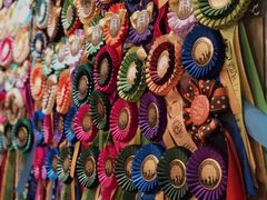 -more than meow吴止猫主题餐厅(承德 中船汇店)