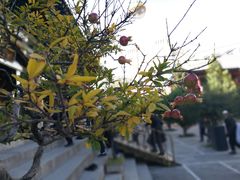 -西宁市东关清真大寺