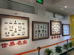 -上海昆虫博物馆