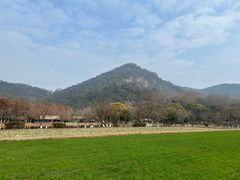 -八卦田遗址公园
