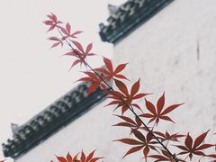 -潜口民宅博物馆
