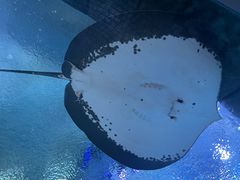 -珠海长隆海洋王国