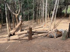 -云南野生动物园