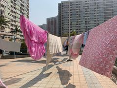 -彩虹村