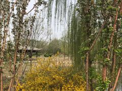 -水西公园