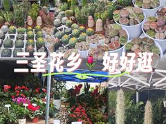 -三圣花乡旅游区