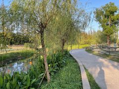 -前小桔亲子创意农场·草莓采摘·露营烧烤