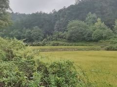 -韶山毛泽东同志故居