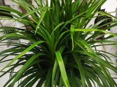 -常州花鸟园酒店(西太湖品牌优选店)