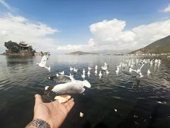 -小普陀