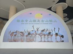 -盐城丹顶鹤湿地生态旅游区