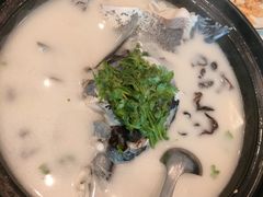 -老淳安—伴山伴湖(千岛湖开元度假村店)