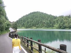 -武陵山森林公园