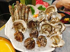 -一绪に寿喜烧(荟聚店)