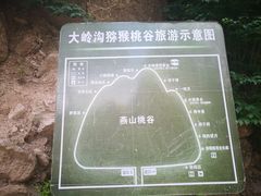 -大岭沟猕猴桃谷风景区