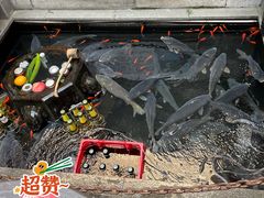 -燕喜堂·中华老字号(大明湖店)