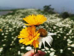 -武陵山森林公园