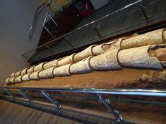 -南越王博物院(王宫展区)