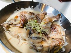 牛肝菌白汁烩春鸡-港丽餐厅(高德置地店)