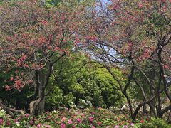 -洛阳市隋唐城遗址植物园