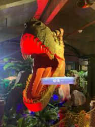-恐龙探索乐园(磁器口店)