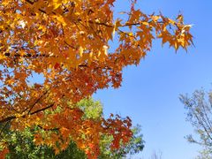 -济南野生动物世界