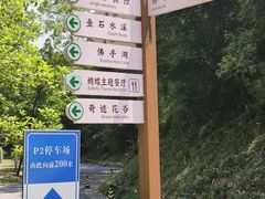 -佛手湖郊野公园