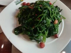 芥末菠菜花生-西部马华清真兰州牛肉面·烧烤夜市(关东店)
