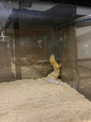 -Zoolung Zoolung动物主题公园(海信广场店)