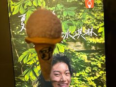 -野人先生现做冰淇淋(北京顺义祥云小镇店)